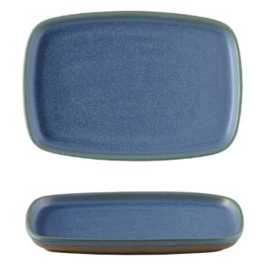 Поднос сервировочный 22х15см, серия EMERGE, цвет OSLO BLUE EMBLEP221