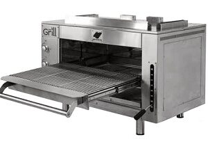 Гриль барбекю электрический WE GRILL & MORE WGPM++_E 2.0